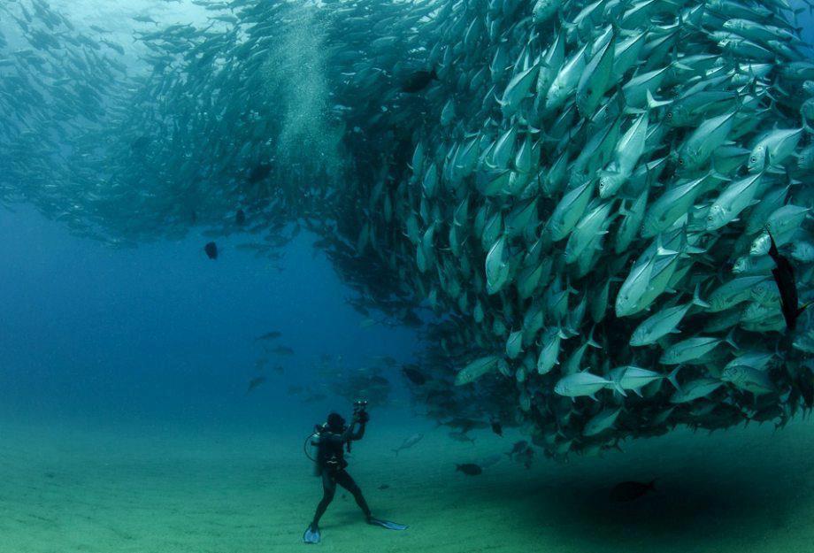 This image for Image Layouts addon